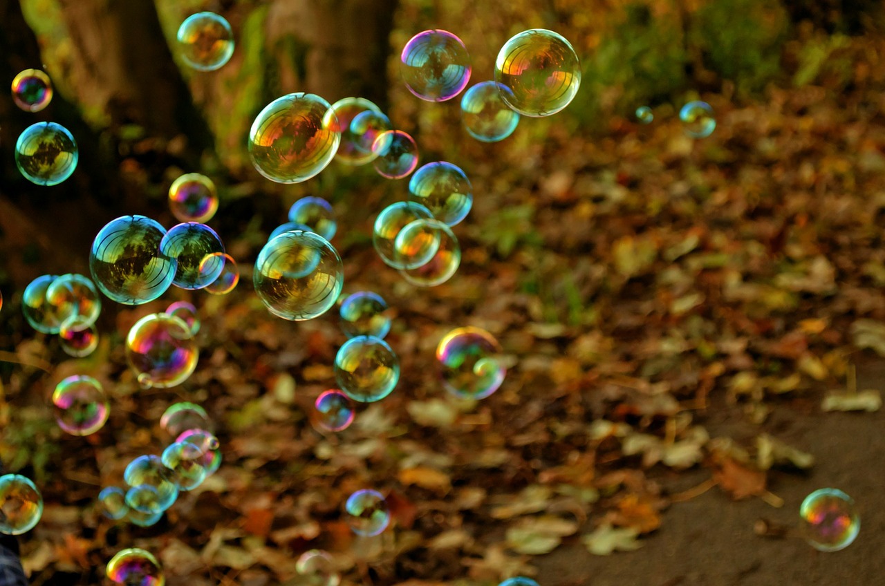 Bubbles in woodland