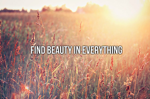 Motivation Monday: Beauty in Everything